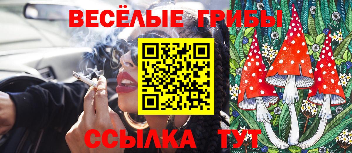Псилоцибиновые грибы Cubensis  Вход с VPN  Саров 